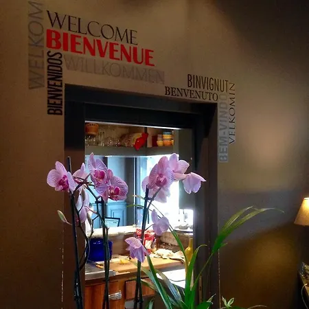 Bar Le Globe Saint-Die-des-Vosges