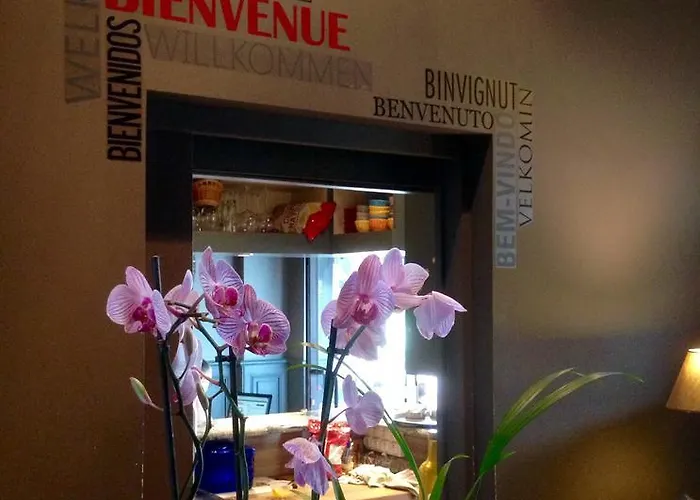 地球酒店酒吧 Saint-Die-des-Vosges