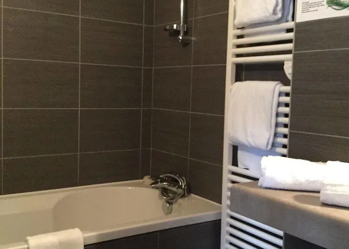 地球酒店酒吧 Saint-Die-des-Vosges